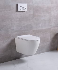 WC kagyló