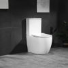 linett-wc-kagylo-tartallyal-sc2 linett-wc-kagylo-tartallyal-sc2